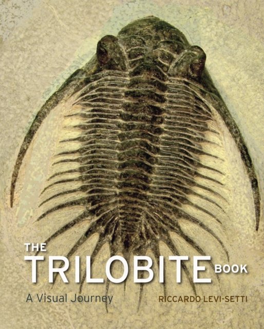 The Trilobite Book – A Visual Journey