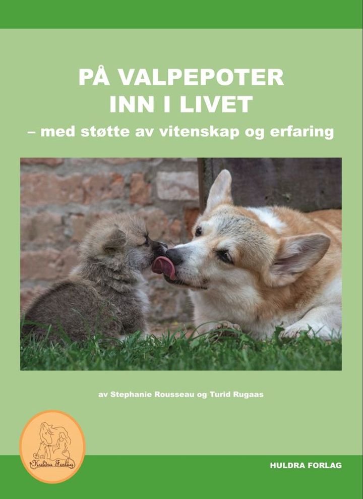 På valpepoter inn i livet - med støtte av vitenskap og erfaring