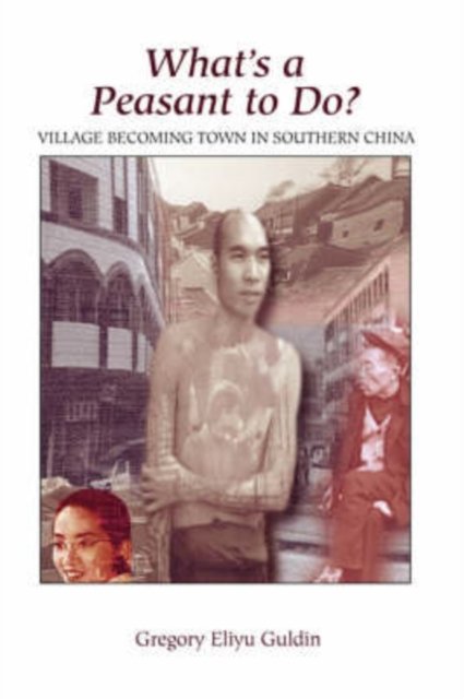 What''s A Peasant To Do? Village Becoming Town In Southern China