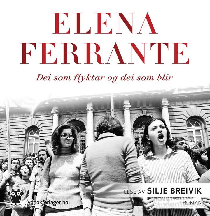 Dei som flyktar og dei som blir - mellomår : roman
