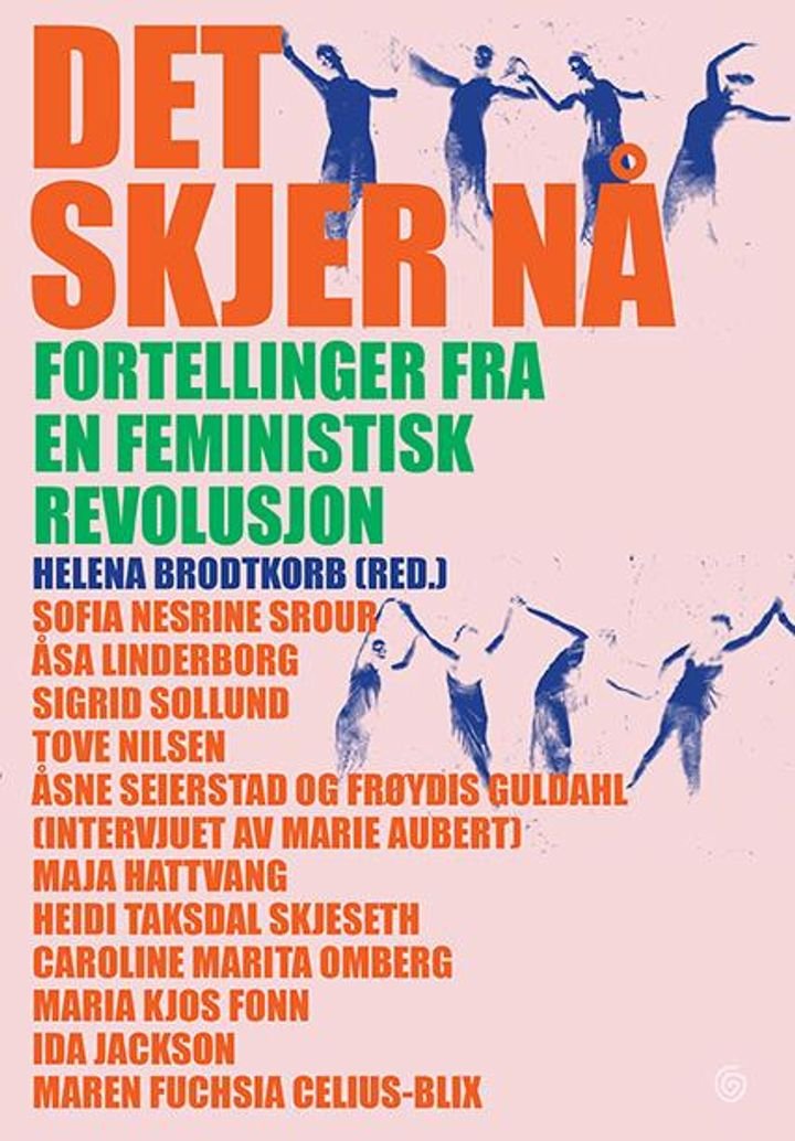 Det skjer nå - fortellinger fra en feministisk revolusjon