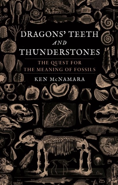 Dragons' Teeth and Thunderstones – The Quest for the Meaning of Fossils