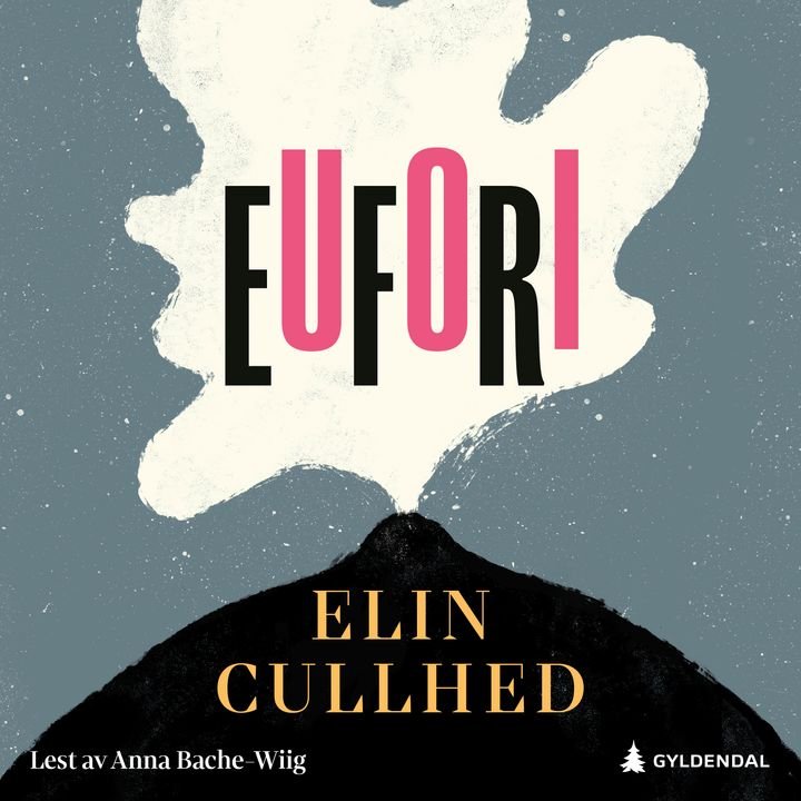 Eufori - en roman om Sylvia Plath