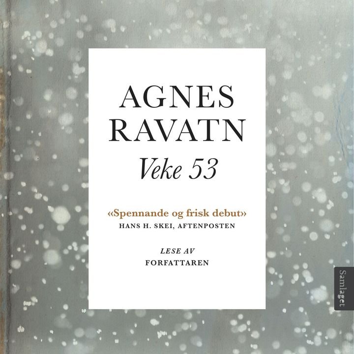 Veke 53 - roman