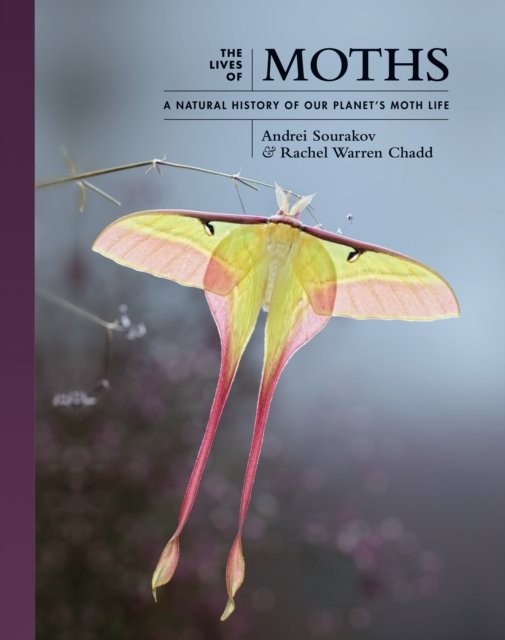 The Lives of Moths – A Natural History of Our Planet's Moth Life