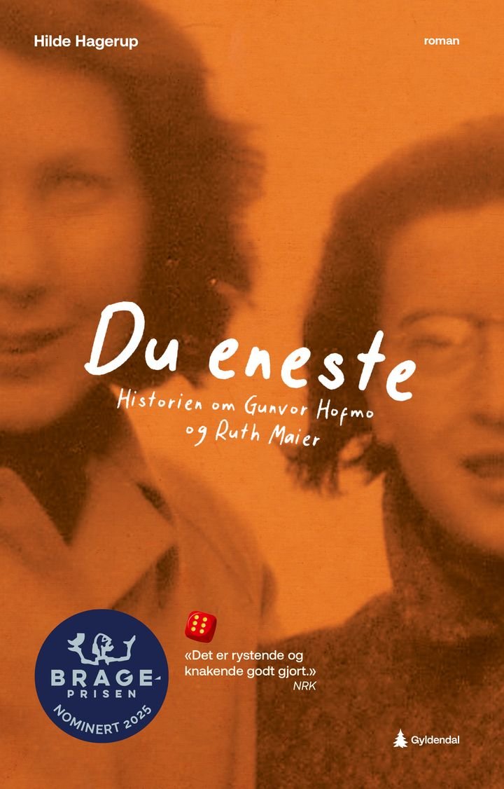 Du eneste - historien om Gunvor Hofmo og Ruth Maier : roman for ungdom