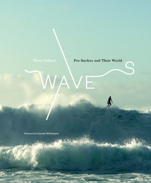 Waves: Pro Surfers and Their World