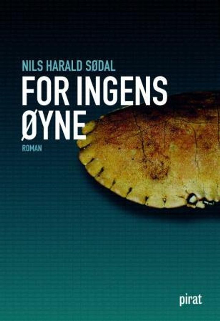 For ingens øyne - roman