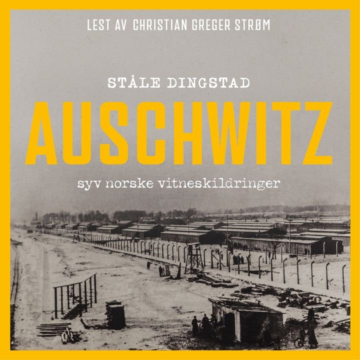 Auschwitz - syv norske vitneskildringer