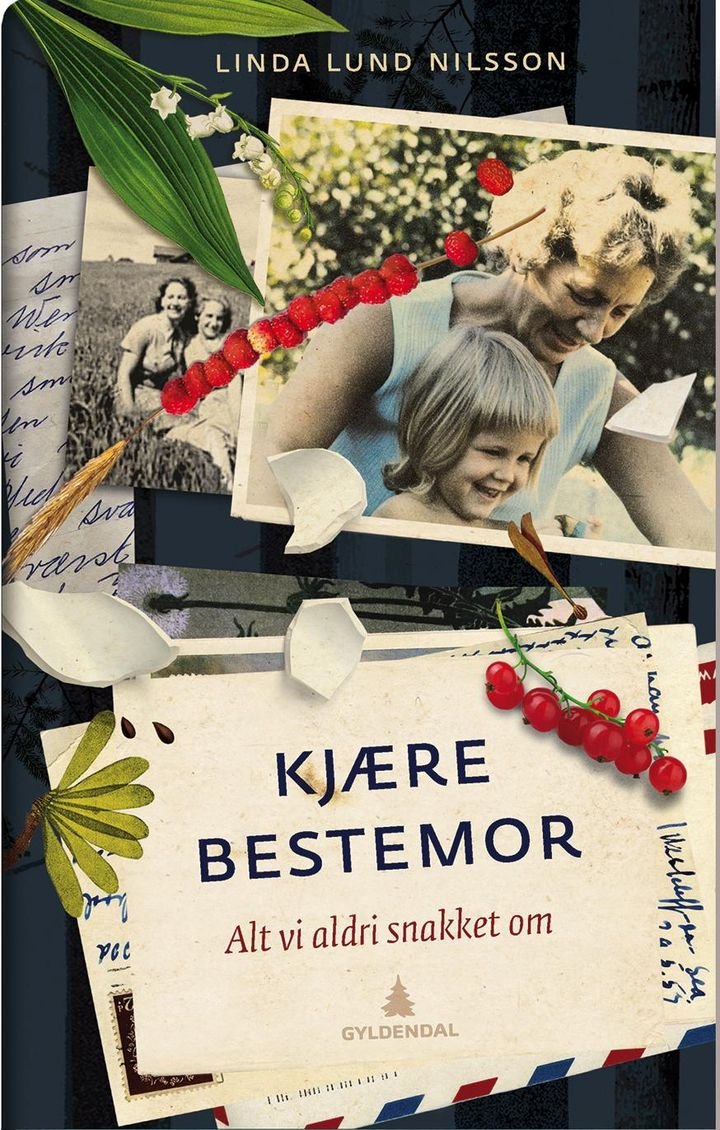 Kjære bestemor - alt vi aldri snakket om