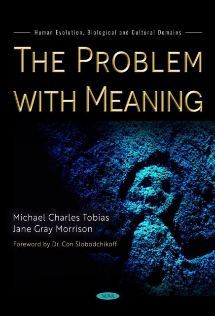 The Problem with Meaning
