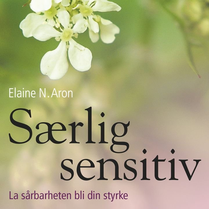 Særlig sensitiv - la sårbarheten bli din styrke