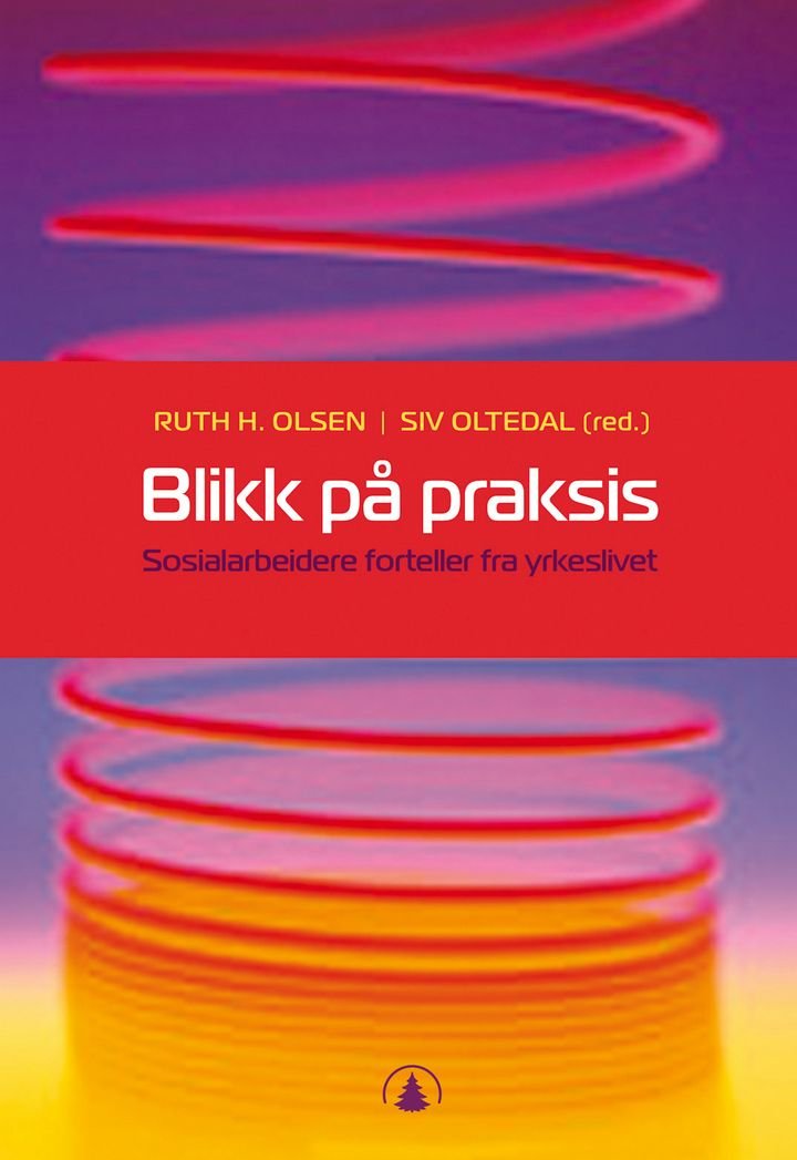 Blikk på praksis - sosialarbeidere forteller fra yrkeslivet