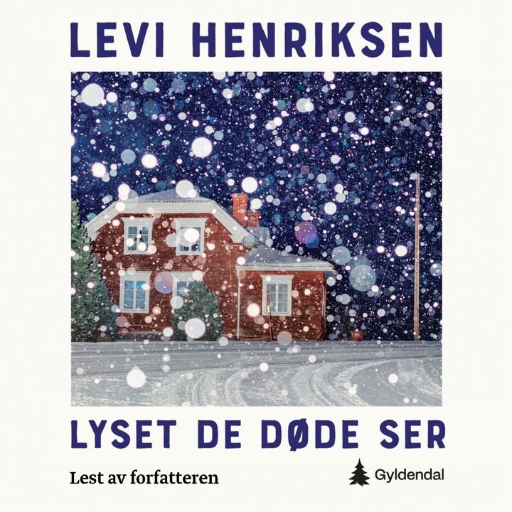 Lyset de døde ser - roman