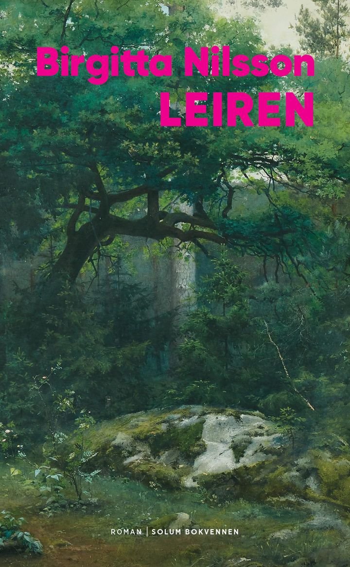 Leiren - roman
