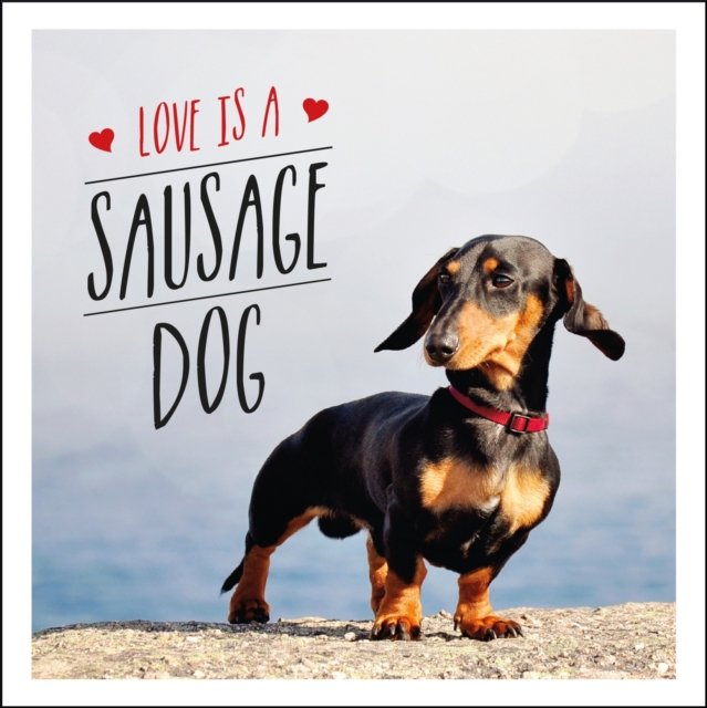 Love Is a Sausage Dog