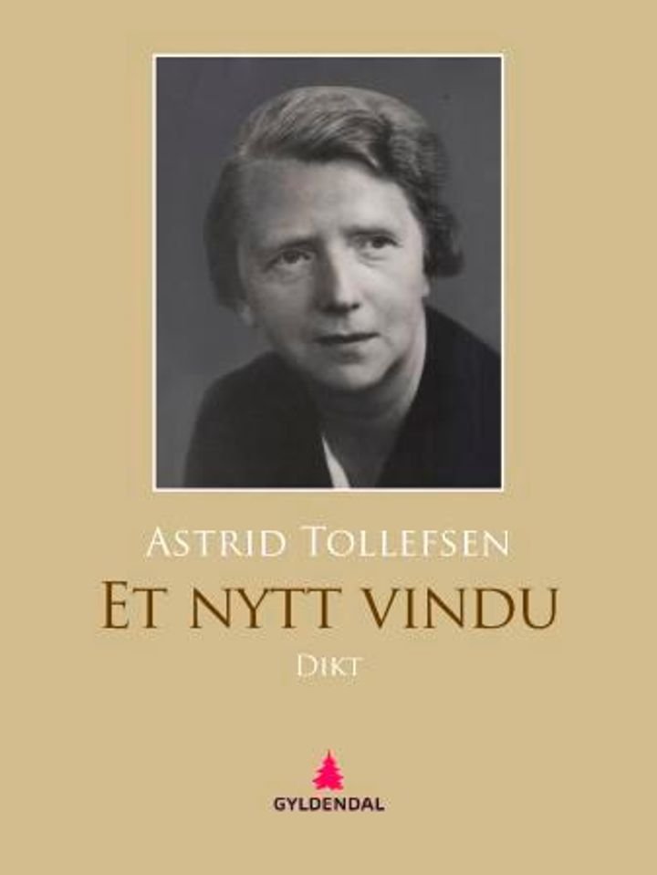 Et nytt vindu - dikt