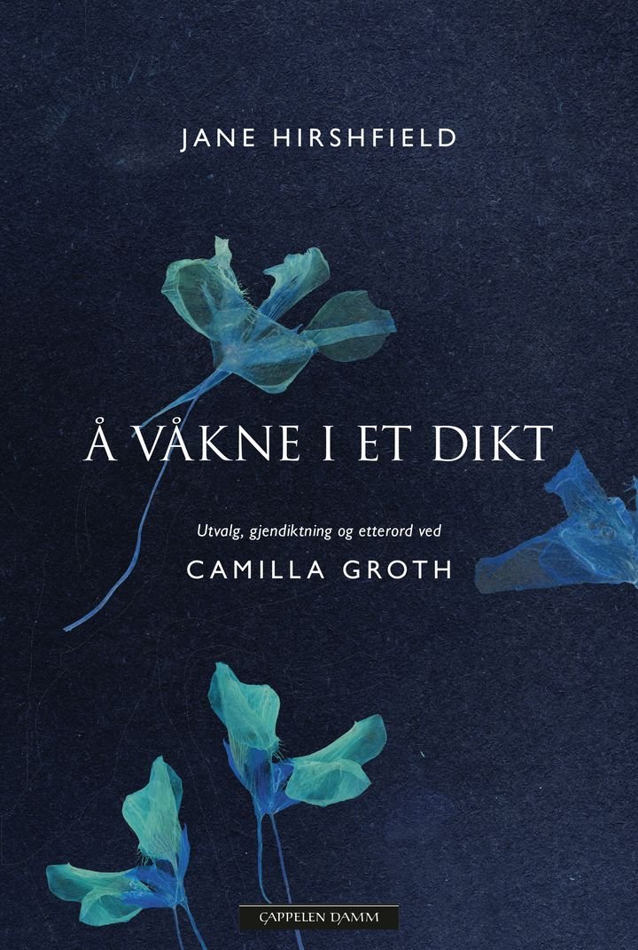 Å våkne i et dikt - utvalg, gjendiktning og etterord ved Camilla Groth