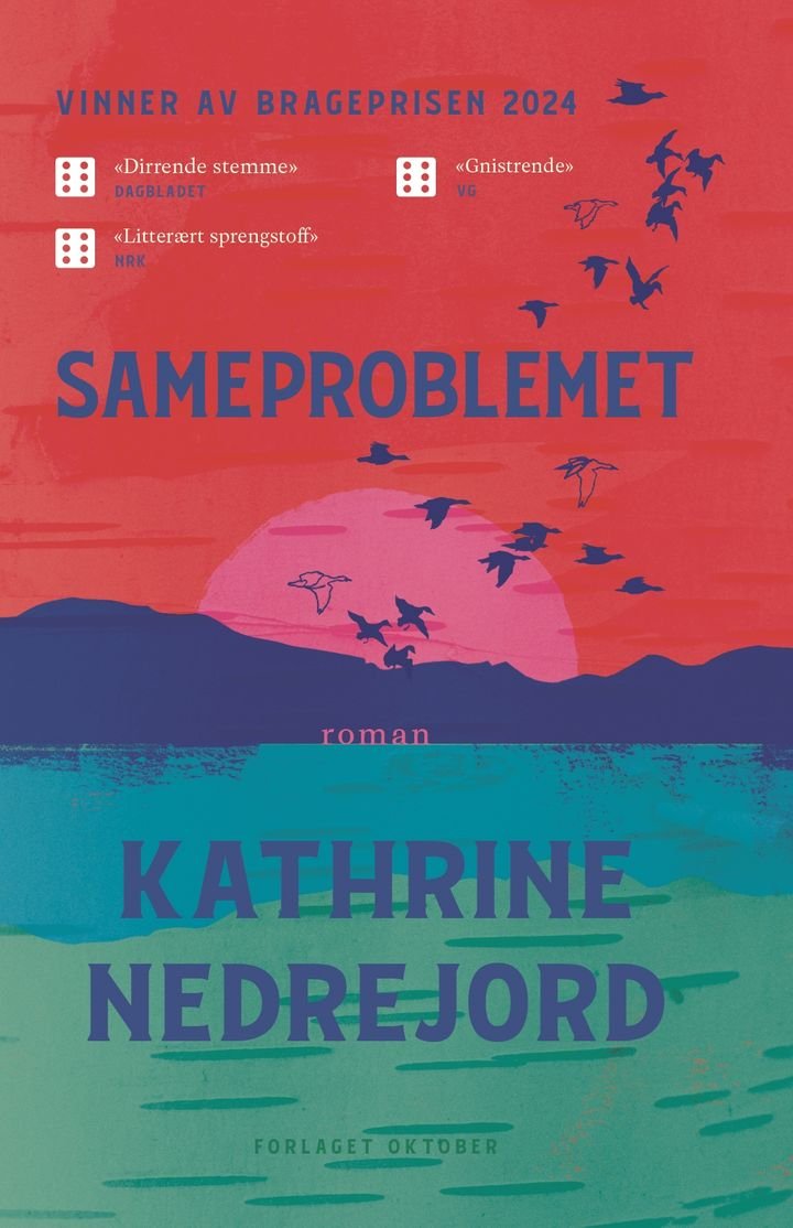 Sameproblemet - roman