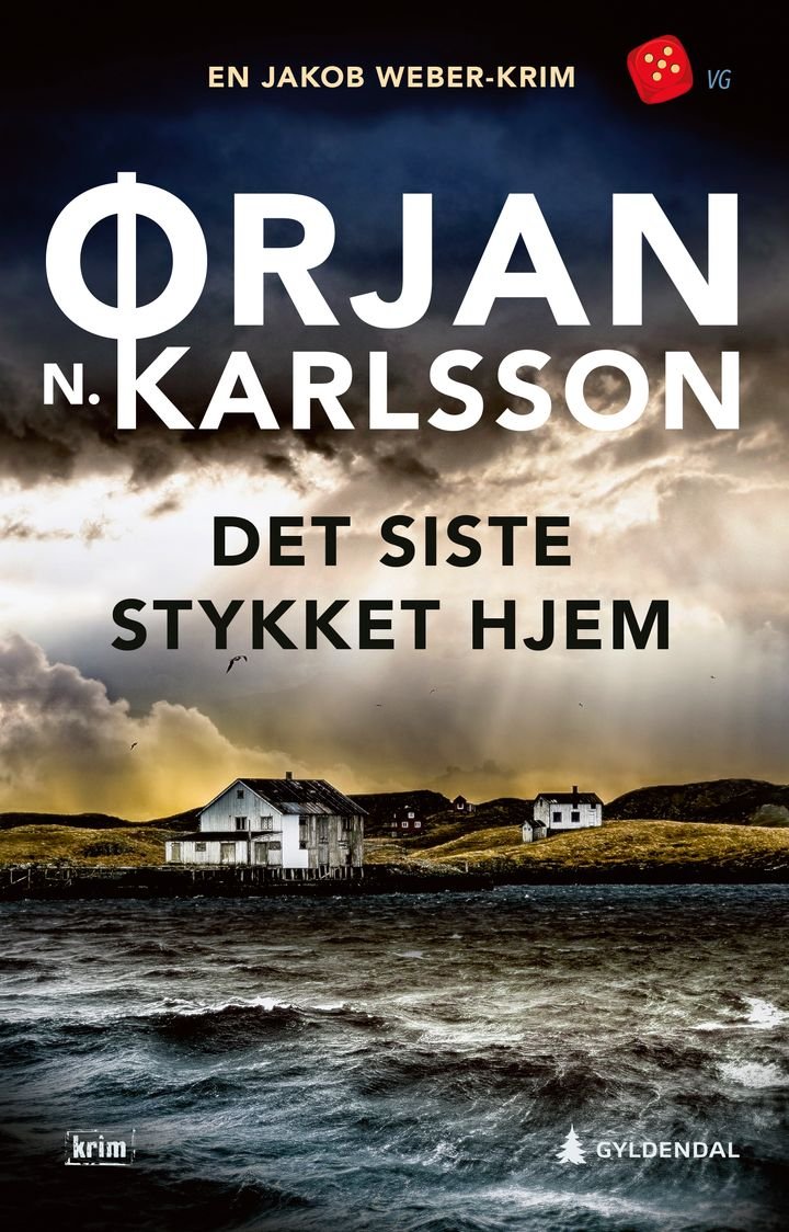 Det siste stykket hjem - kriminalroman