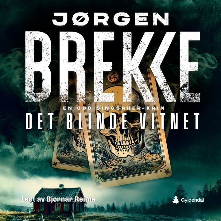Det blinde vitnet