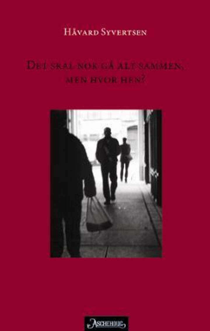 Det skal nok gå alt sammen, men hvor hen? - roman