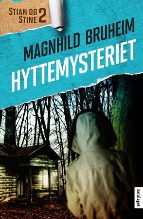 Hyttemysteriet - roman