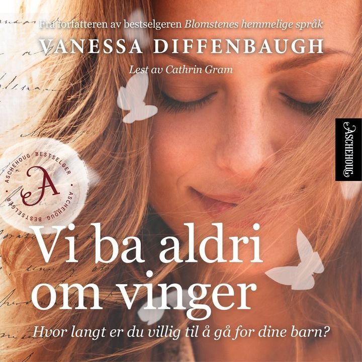 Vi ba aldri om vinger - roman