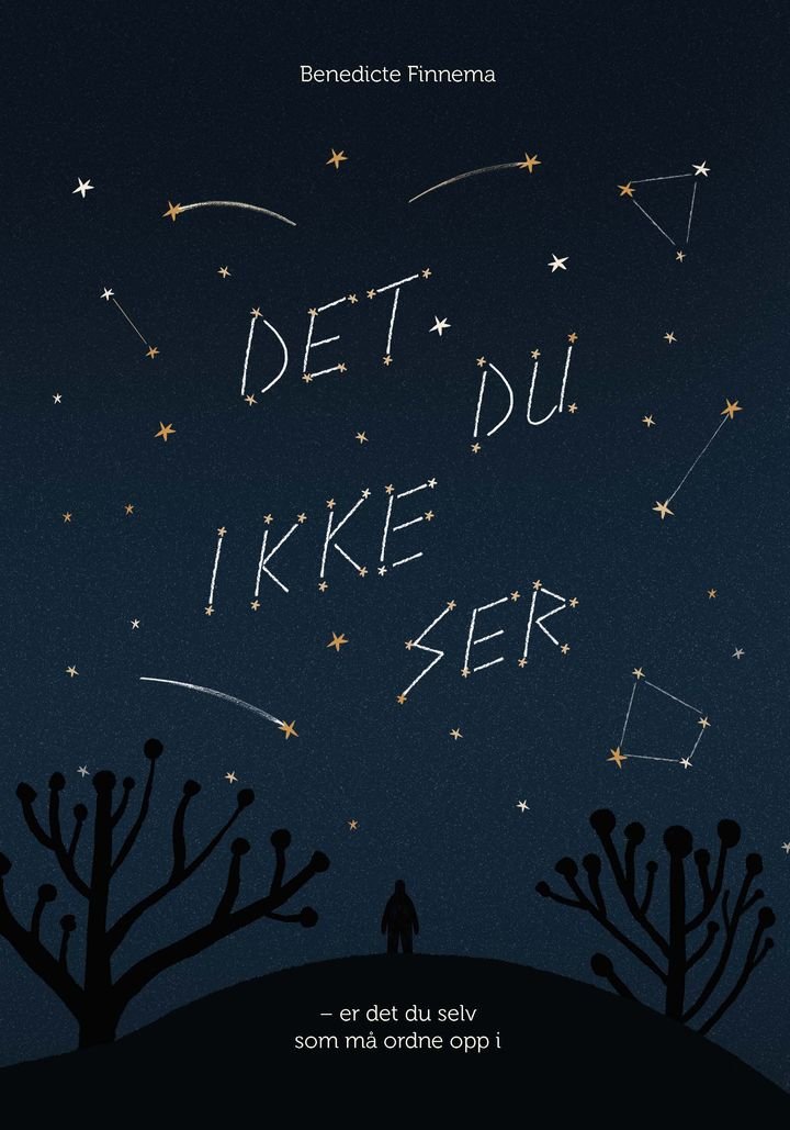 Det du ikke ser - er det du selv som må ordne opp i