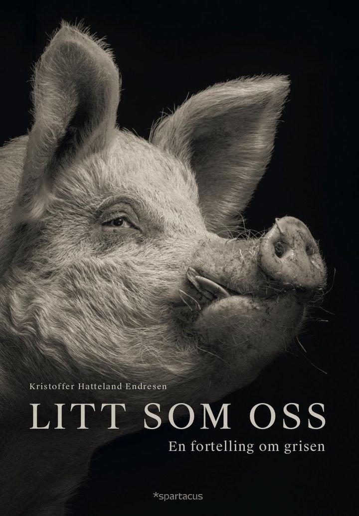 Litt som oss - en fortelling om grisen