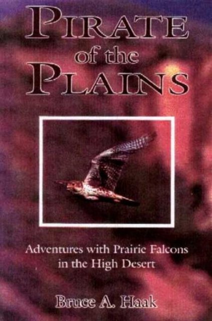 Pirate of the Plains