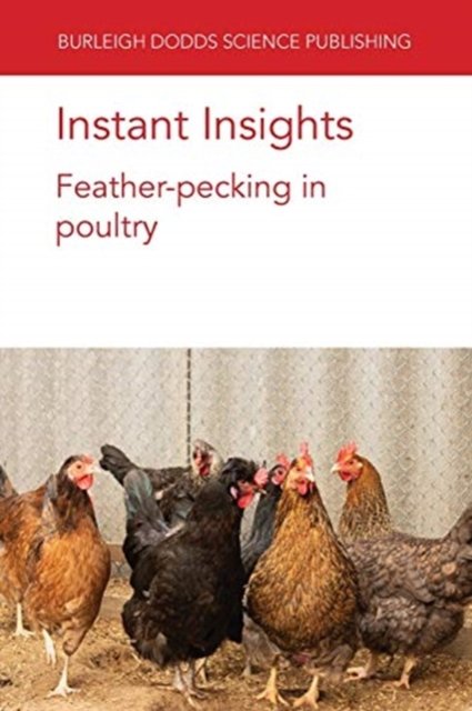 Instant Insights