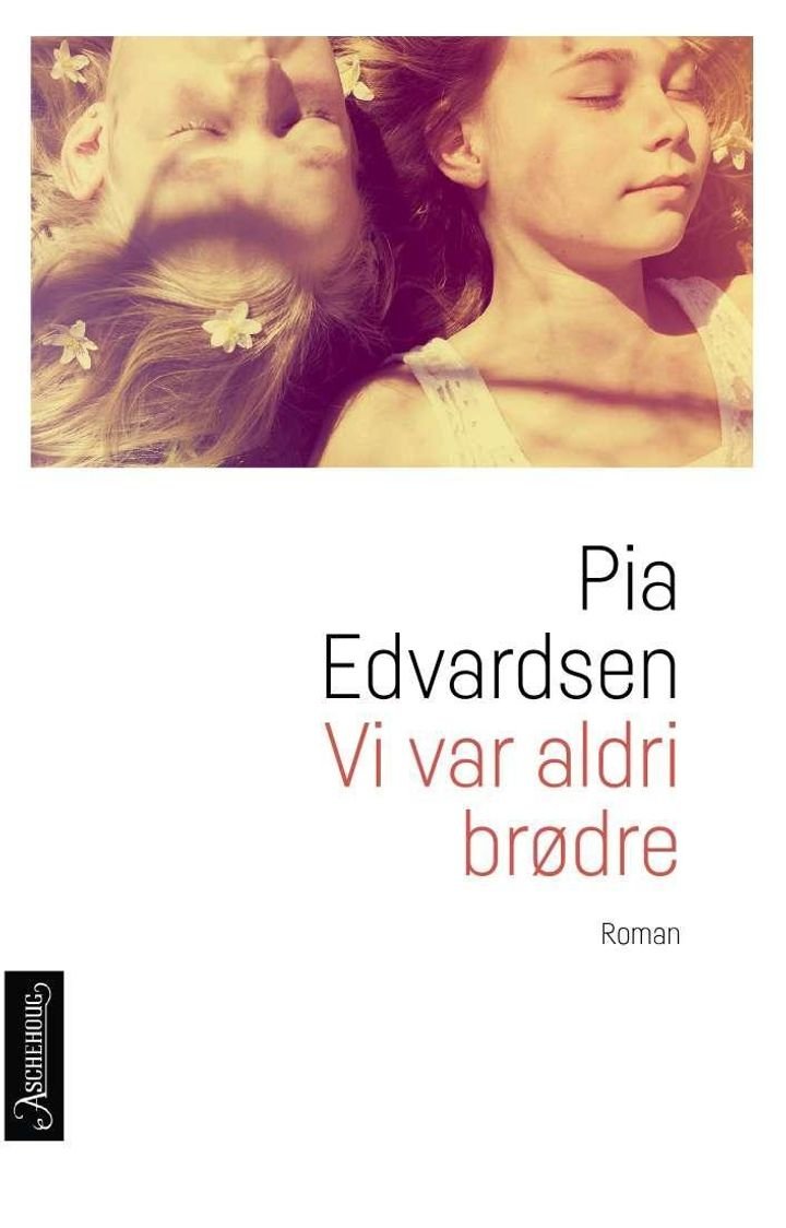 Vi var aldri brødre - roman