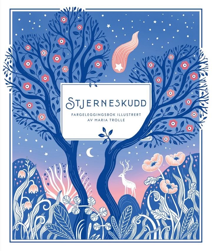 Stjerneskudd