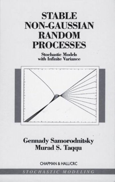 Stable Non-Gaussian Random Processes