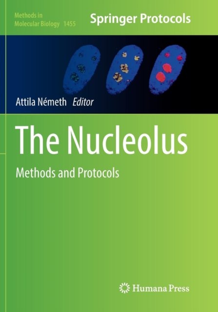 The Nucleolus