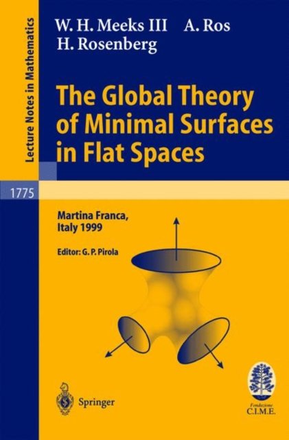 The Global Theory of Minimal Surfaces in Flat Spaces