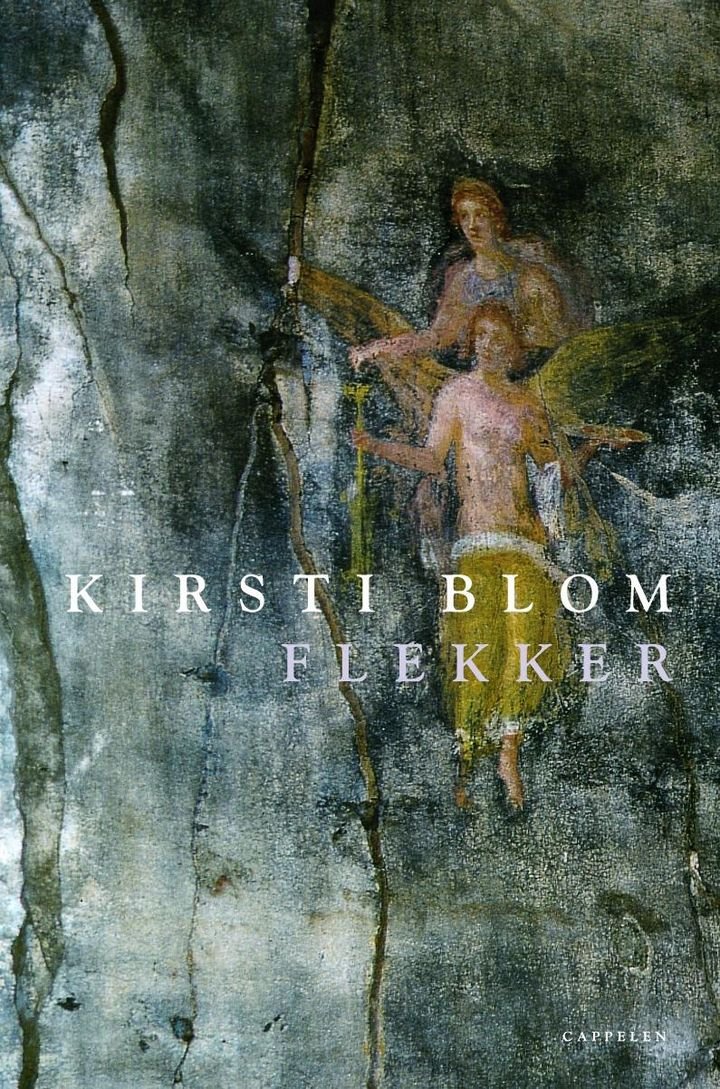 Flekker - roman