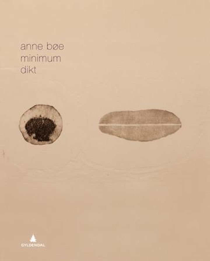 Minimum - dikt