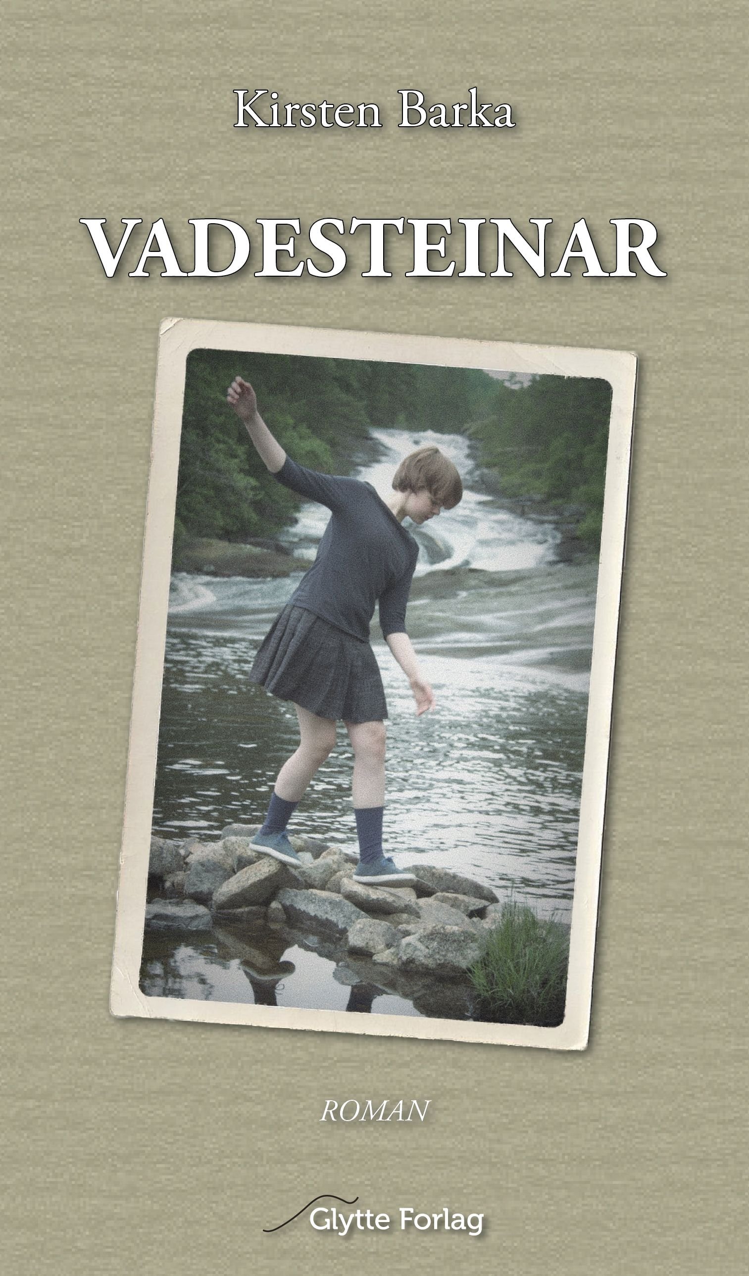 Vadesteinar - tidsbilde frå åra 1964-1966 : roman