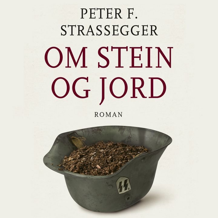 Om stein og jord - roman