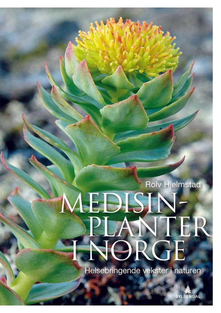 Medisinplanter i Norge av Rolv Hjelmstad