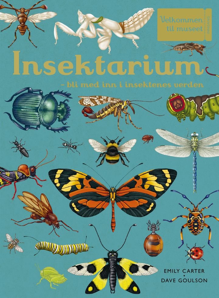 Insektarium - bli med inn i insektenes verden