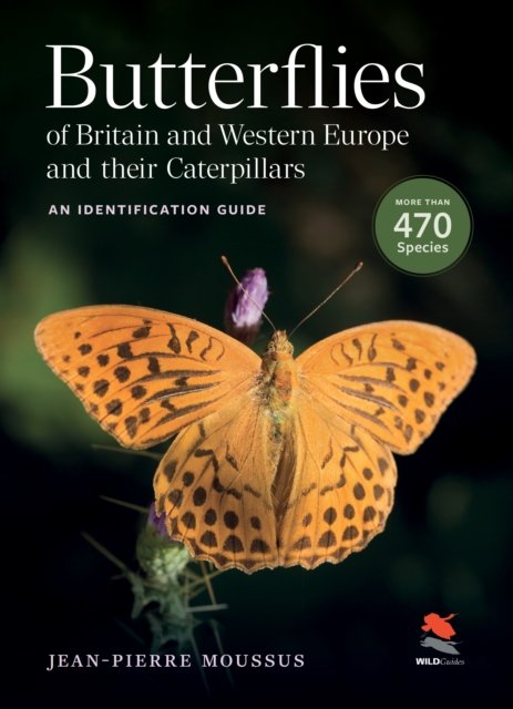 Butterflies of Britain and Western Europe and Their Caterpillars – An Identification Guide