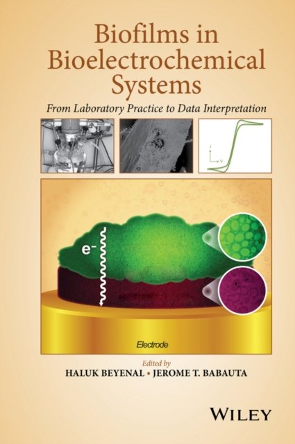 Biofilms in Bioelectrochemical Systems – From Laboratory Practice to Data Interpretation