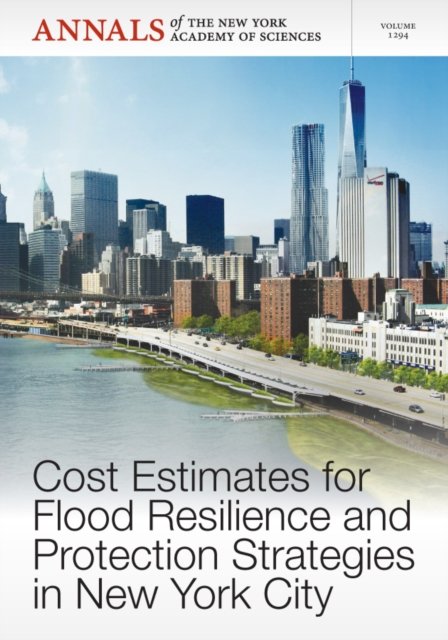 Cost Estimates for Flood Resilience and Protection  Strategies in New York City