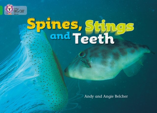 BIG CAT - SPINES STINGS & T