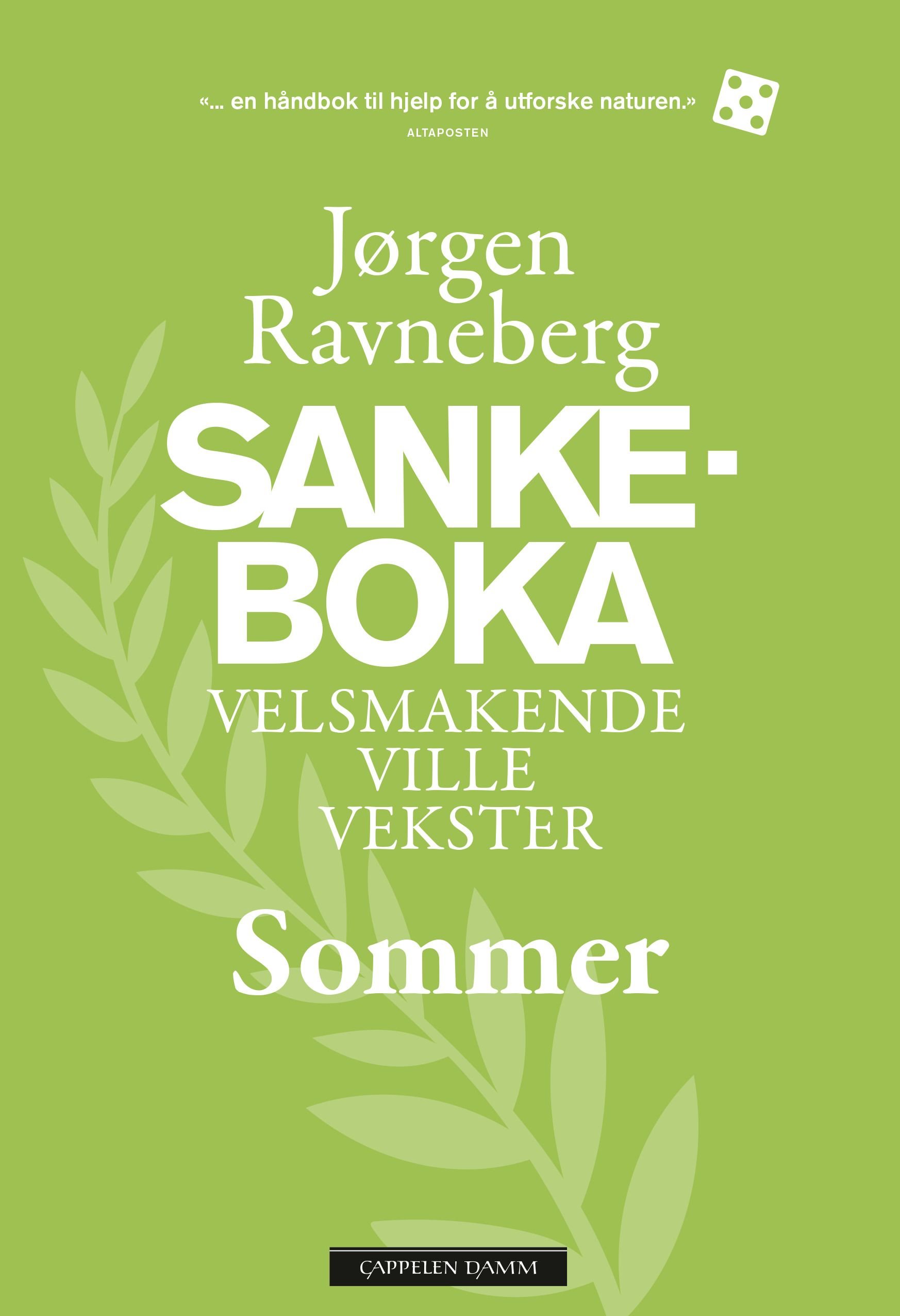 Sankeboka av Jørgen Ravneberg