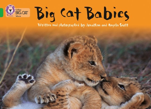 BIG CAT - BIG CAT BABIES