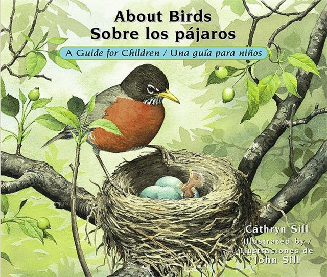 About Birds / Sobre los pajaros